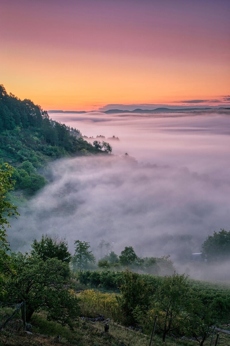 Fairytale Backdrops